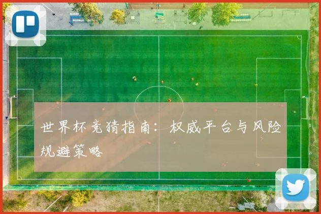 世界杯竞猜指南：权威平台与风险规避策略