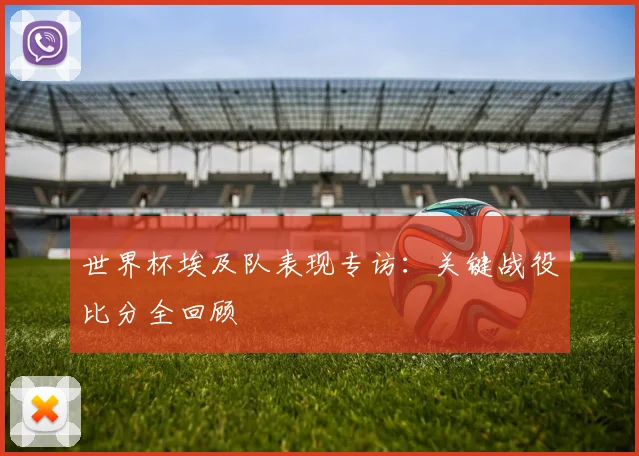 世界杯埃及队表现专访：关键战役比分全回顾